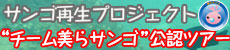 美らサンゴ公認ツアー