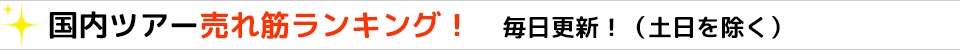 国内ツアー売れ筋ランキング