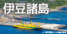 伊豆諸島旅行・伊豆諸島ツアー