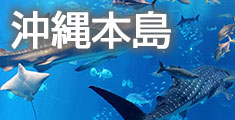 沖縄本島旅行・沖縄本島ツアー