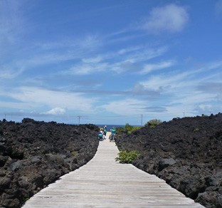 三宅島のおすすめスポット・火山体験遊歩道