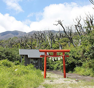 三宅島のおすすめスポット・椎取神社