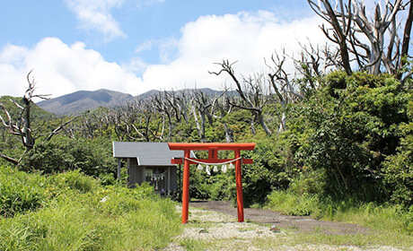 三宅島のおすすめスポット・椎取神社