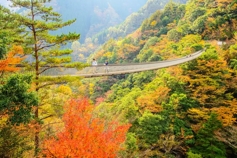 五家荘の秋の風景