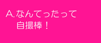 なんてったって自撮棒