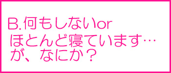 何もしないorほとんど寝ています・・・が、なにか？