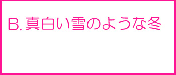 真白い雪のような冬