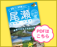 尾瀬ハイキングツアー 基本情報 ビッグホリデー