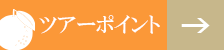 ツアーのポイント