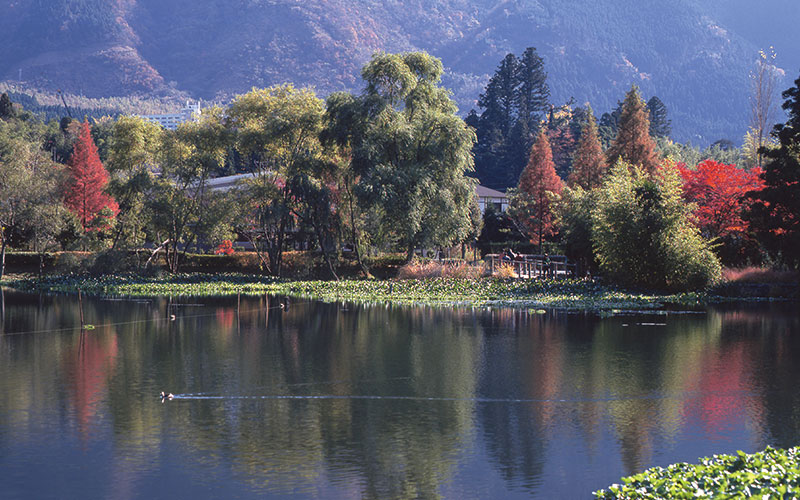 金鱗湖イメージ