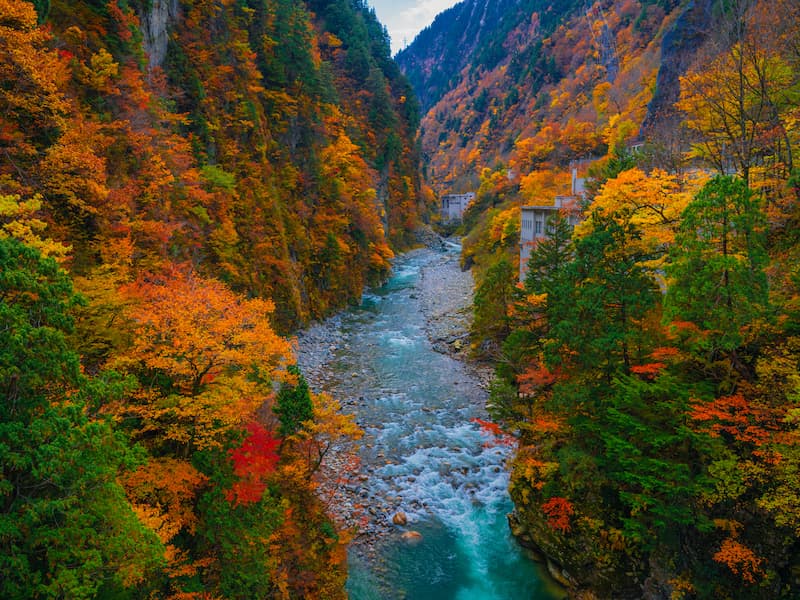 黒部峡谷の秋の風景