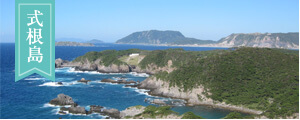 式根島