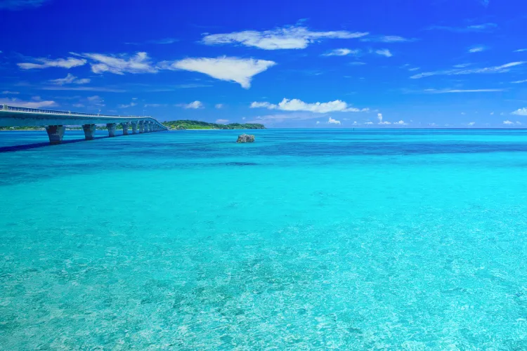 夏旅特集2025(宮古島の夏)